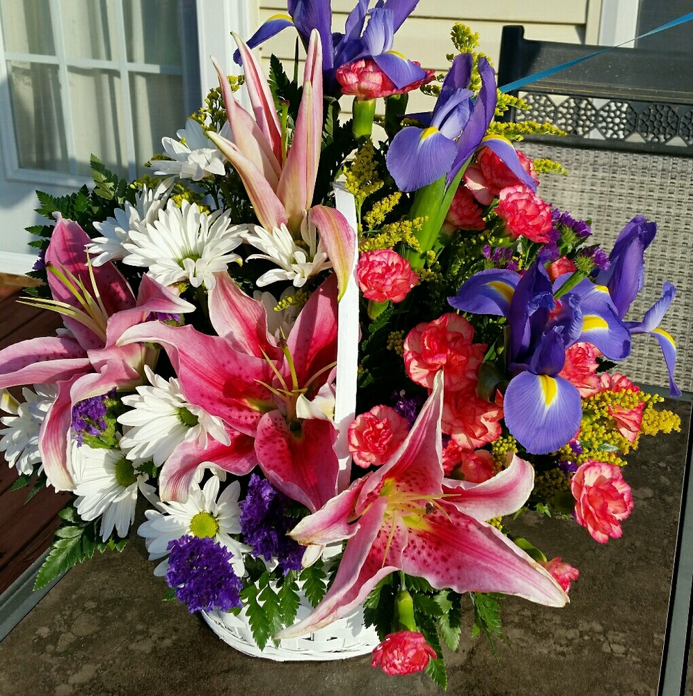 Meet your Posher, Heidi